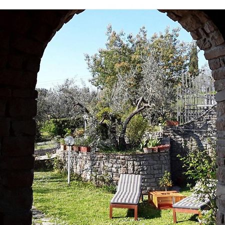 卡尔米尼亚诺La Collina Degli Olivi住宿加早餐旅馆 外观 照片