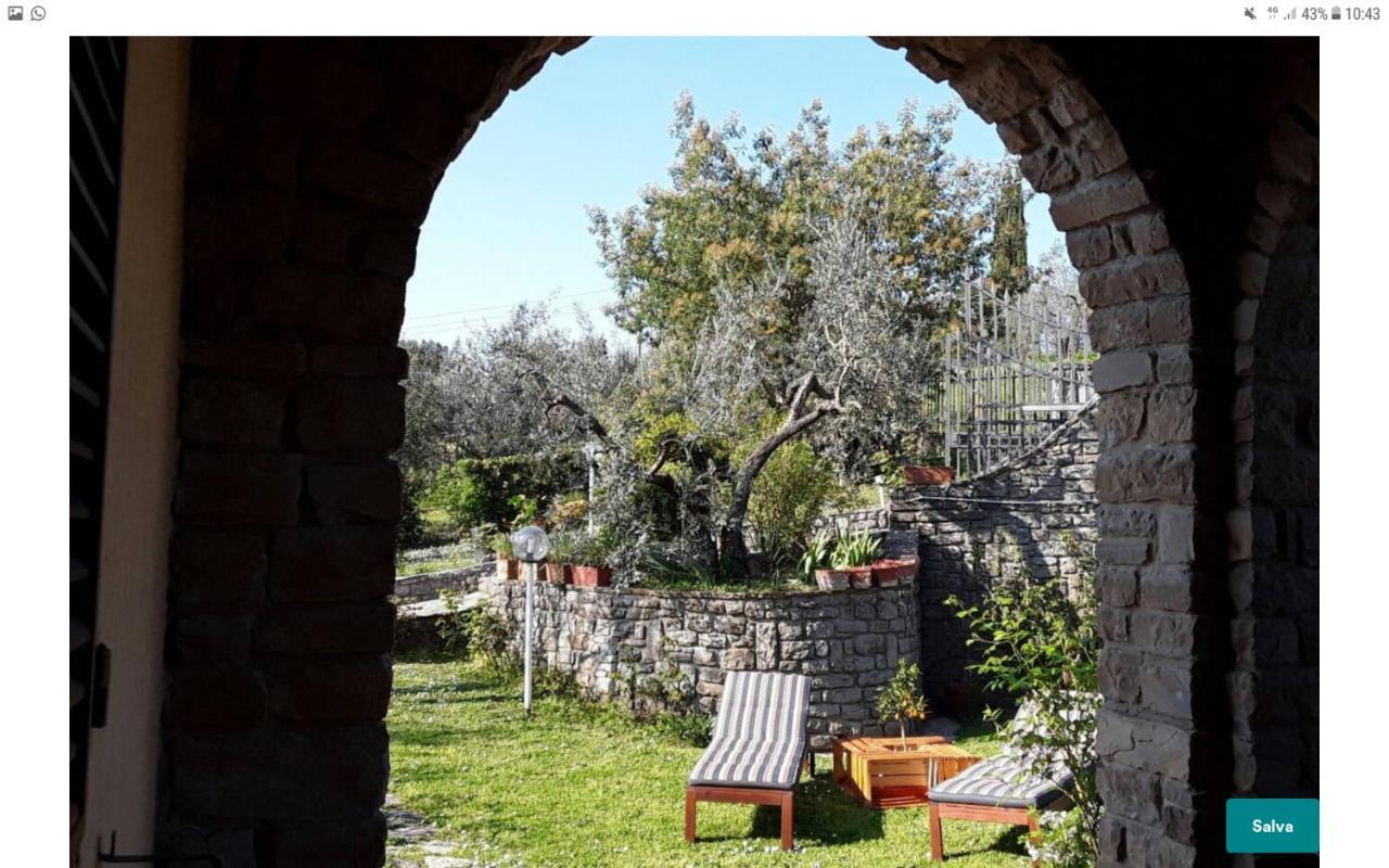 卡尔米尼亚诺La Collina Degli Olivi住宿加早餐旅馆 外观 照片